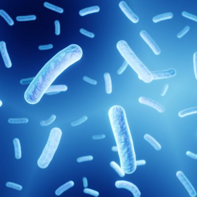 Bacillus Ferment-bochery1